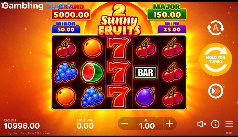 Sunny Fruits 2: Hold and Win – Screenshot 6