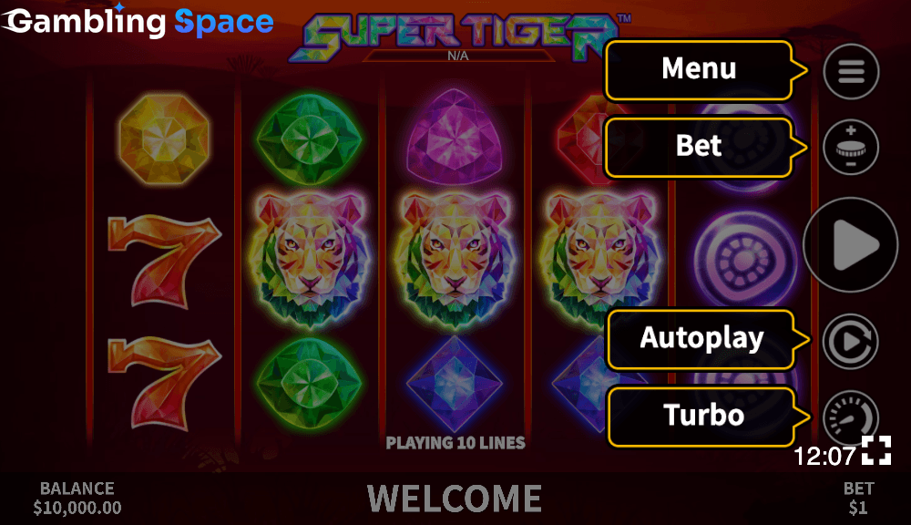 Super Tiger – Screenshot 2
