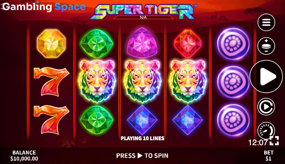 Super Tiger – Screenshot 3