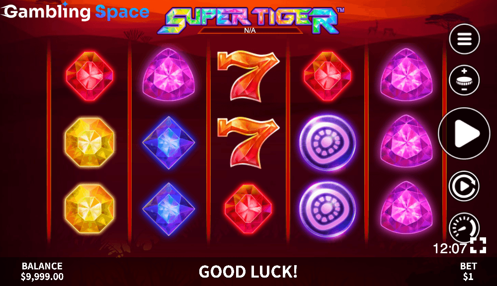 Super Tiger – Screenshot 4