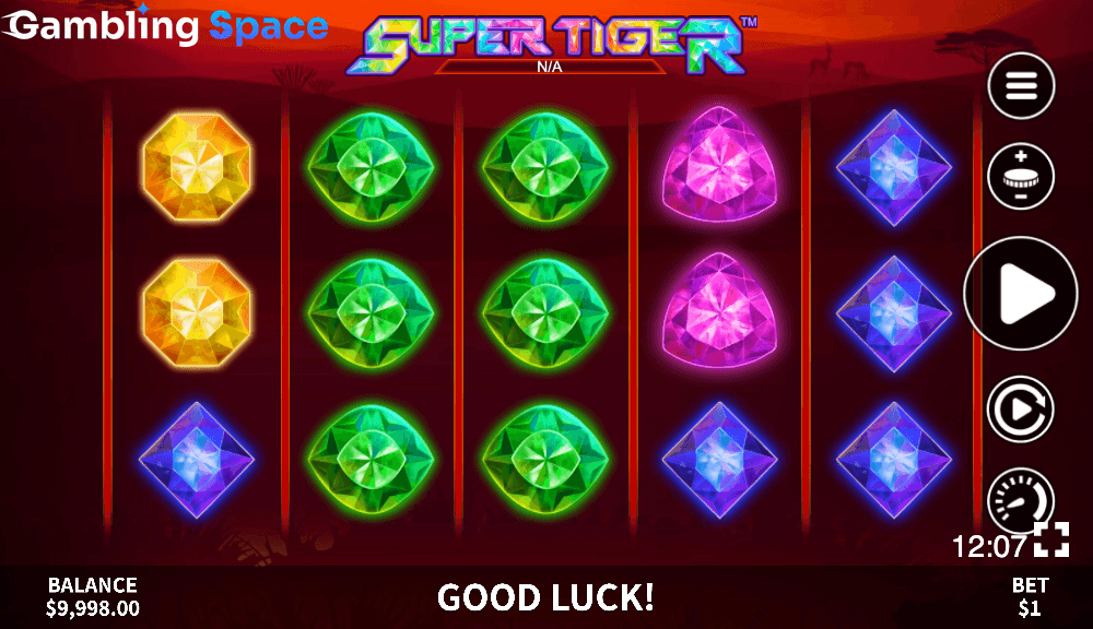 Super Tiger – Screenshot 5