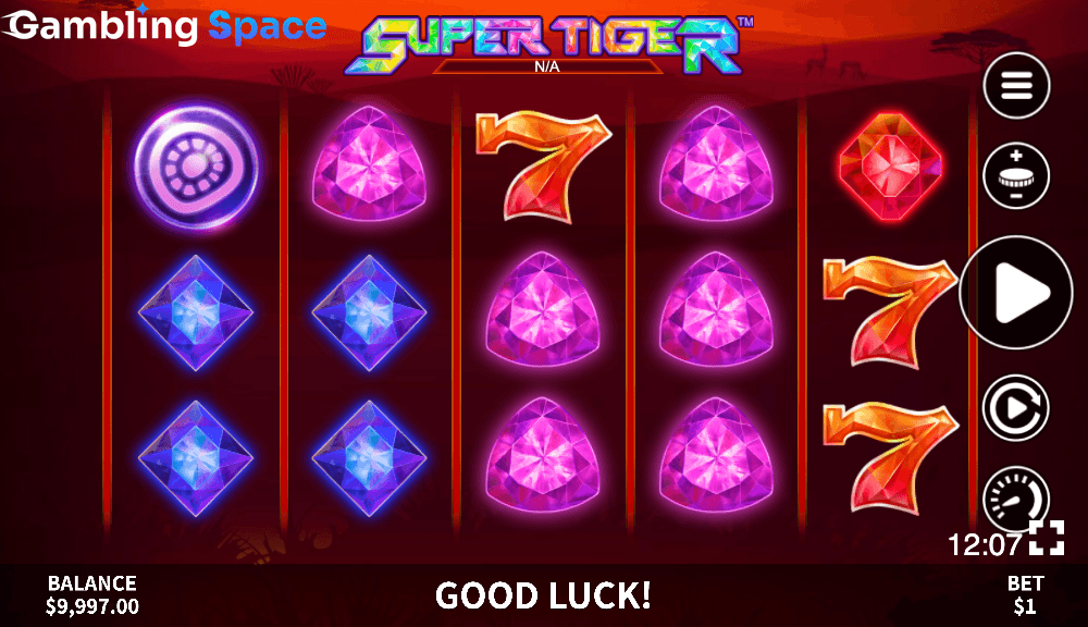 Super Tiger – Screenshot 6