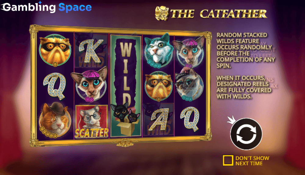 The Catfather – Screenshot 1
