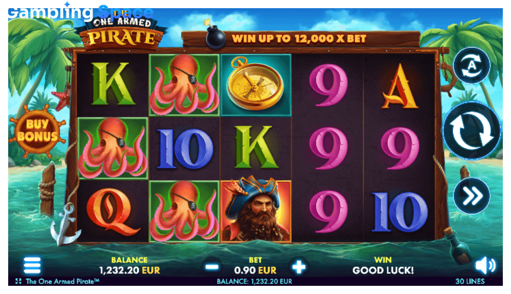 The One Armed Pirate – Screenshot 4
