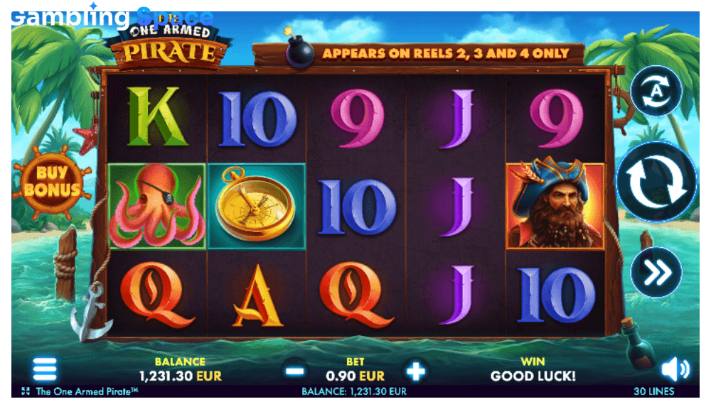 The One Armed Pirate – Screenshot 5