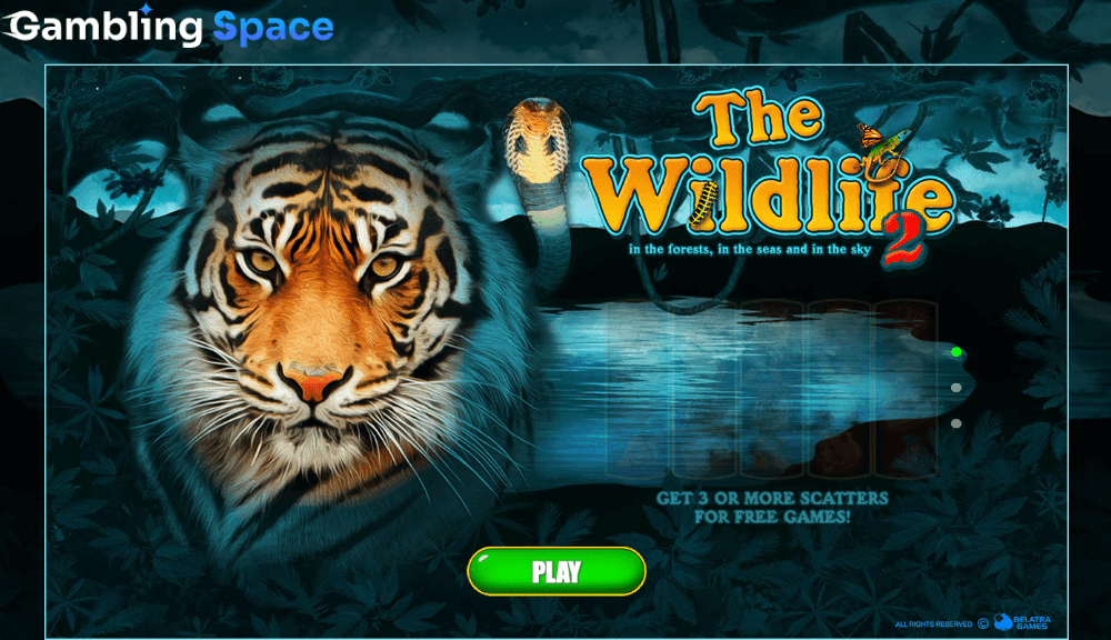 The Wildlife 2 – Screenshot 1