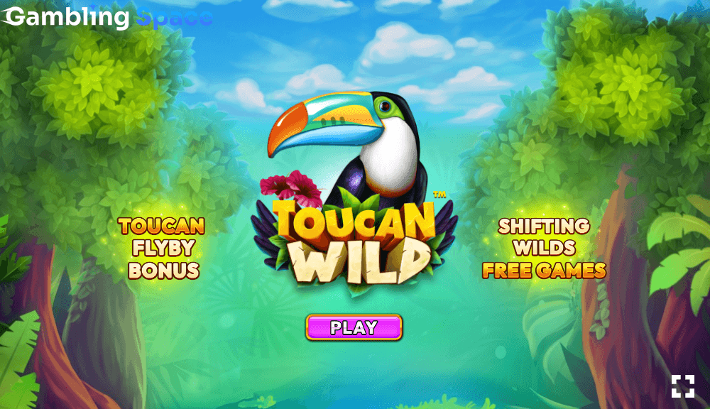 Toucan Wild – Screenshot 1