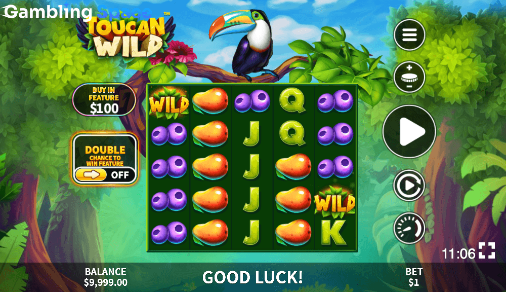 Toucan Wild – Screenshot 4