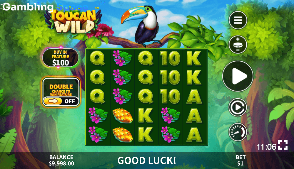 Toucan Wild – Screenshot 5