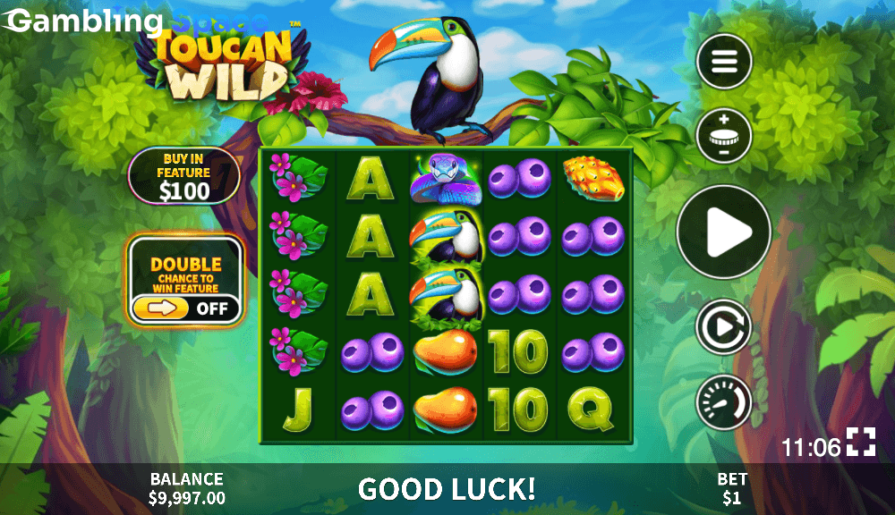 Toucan Wild – Screenshot 6