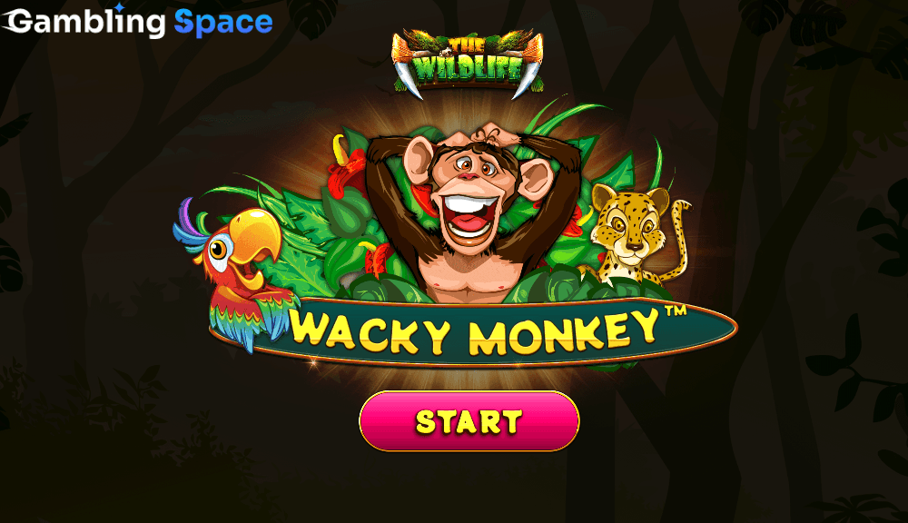 Wacky Monkey – Screenshot 1