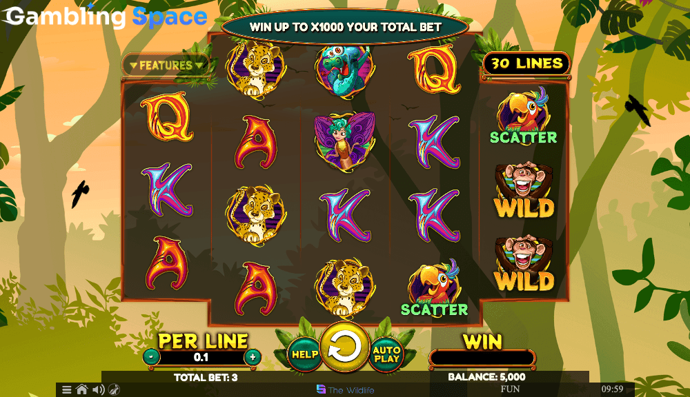 Wacky Monkey – Screenshot 2