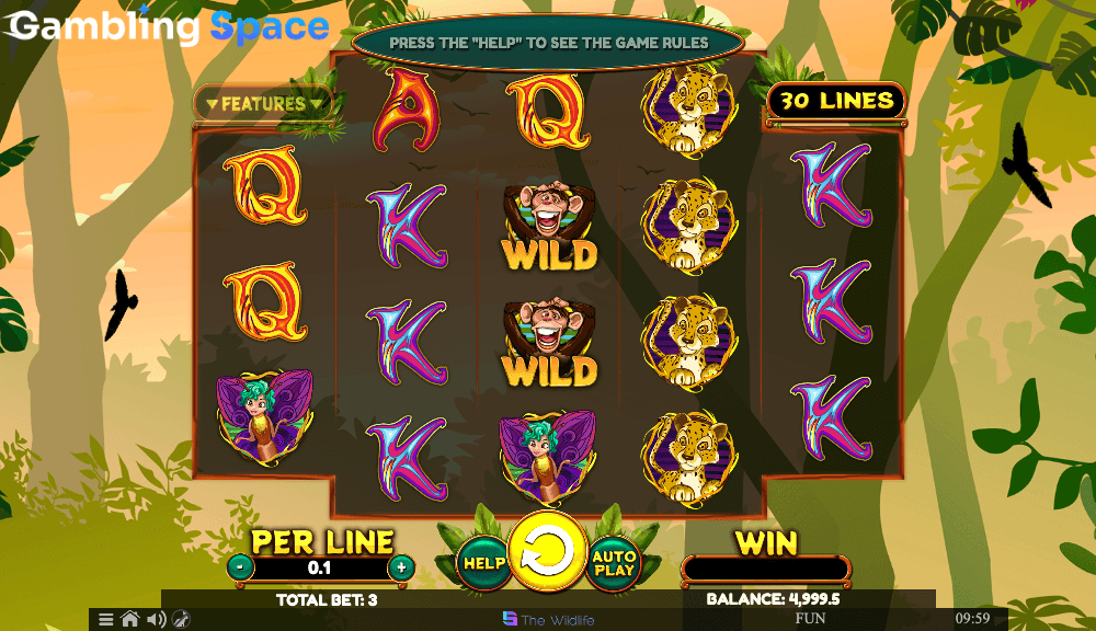 Wacky Monkey – Screenshot 4