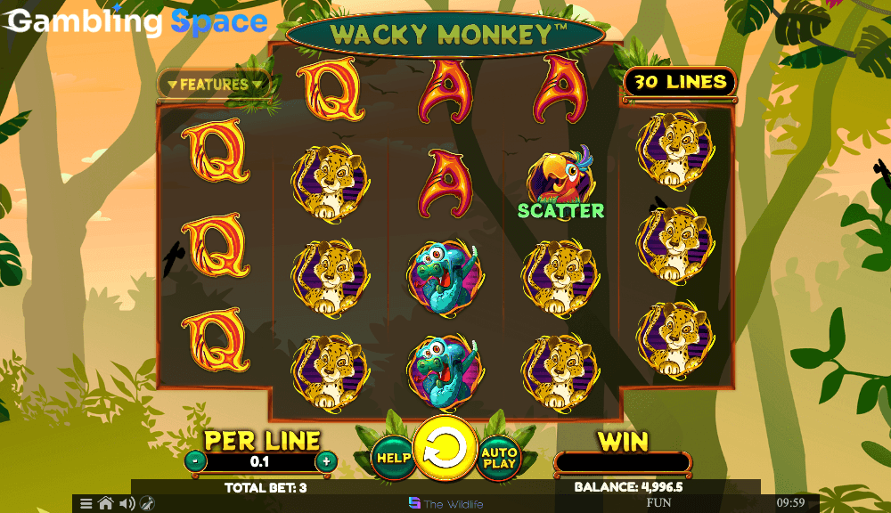 Wacky Monkey – Screenshot 5