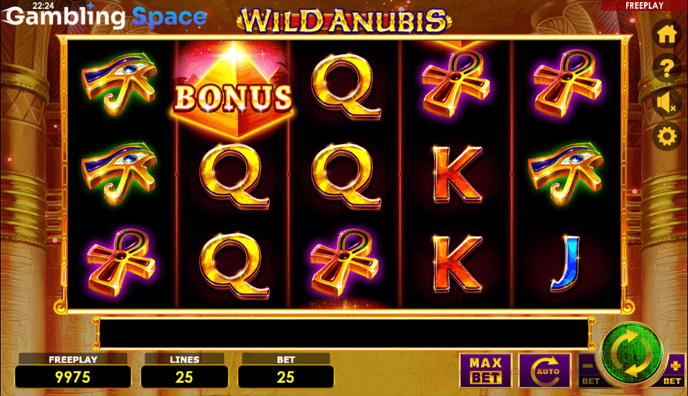 Wild Anubis – Screenshot 3