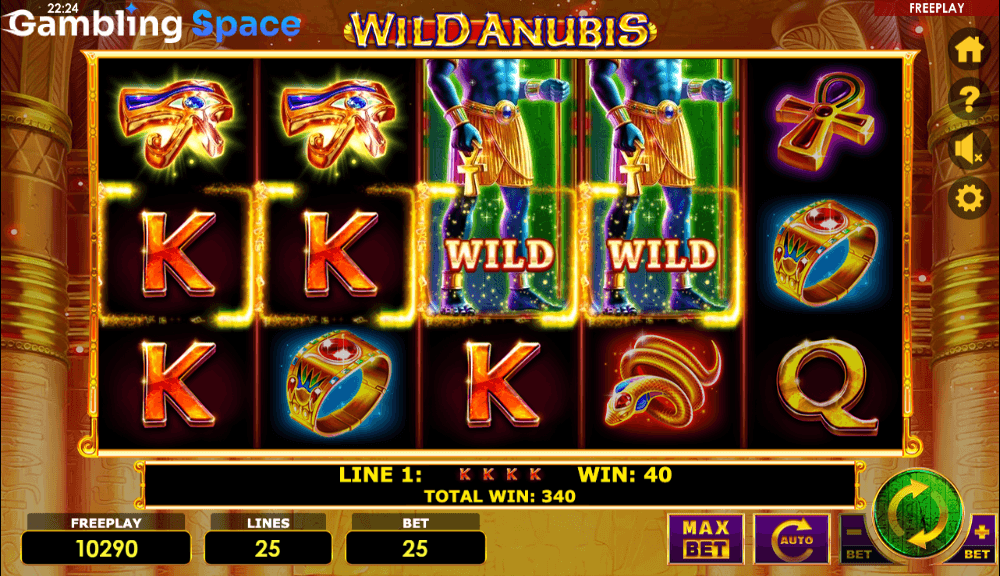 Wild Anubis – Screenshot 5
