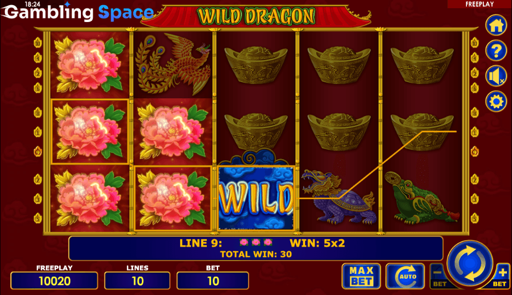 Wild Dragon – Screenshot 4