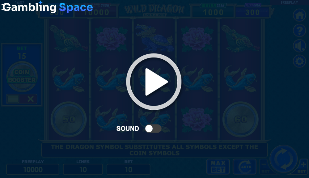 Wild Dragon Hold & Win – Screenshot 1