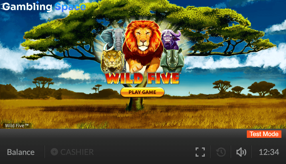 Wild Five – Screenshot 1