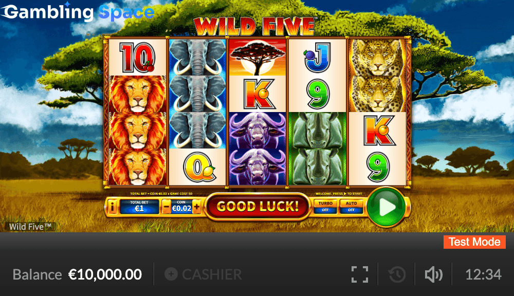 Wild Five – Screenshot 2