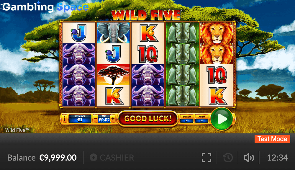 Wild Five – Screenshot 3