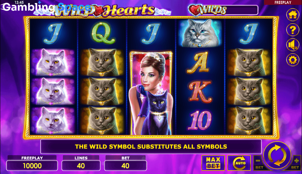 Wild Hearts – Screenshot 2