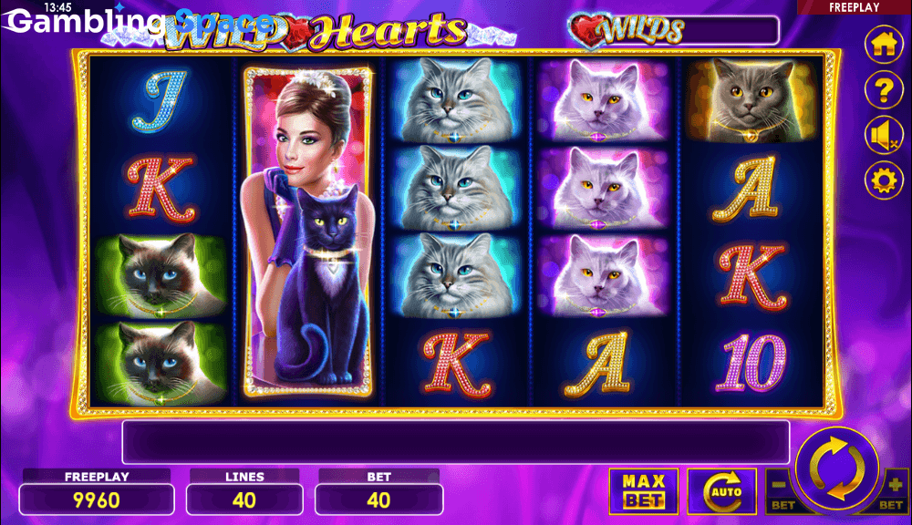 Wild Hearts – Screenshot 3