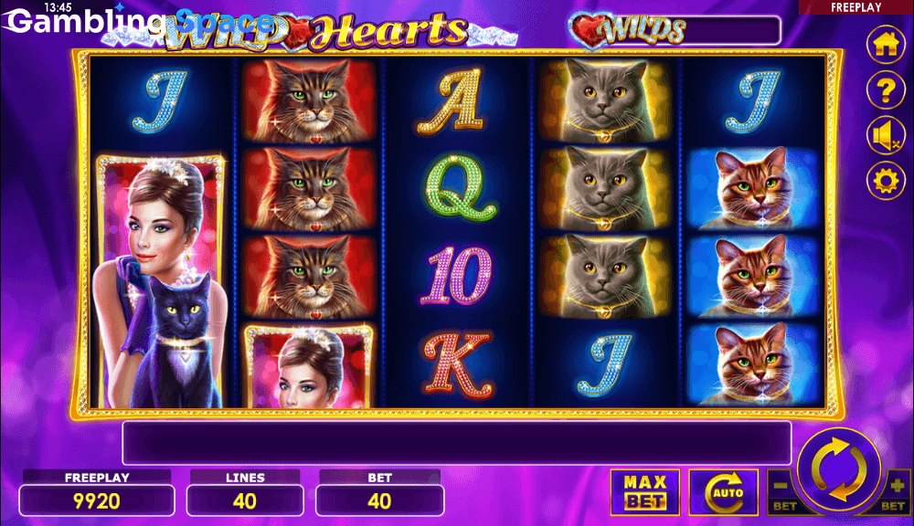 Wild Hearts – Screenshot 4