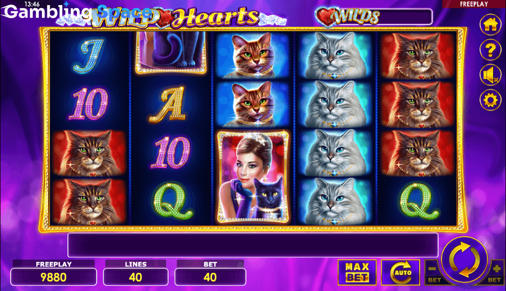 Wild Hearts – Screenshot 5