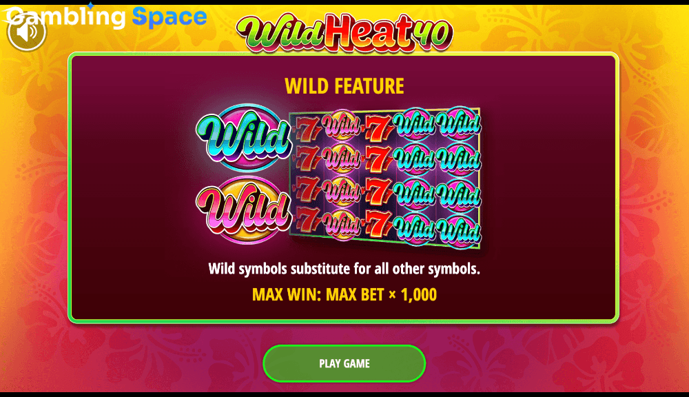 Wild Heat 40 – Screenshot 1