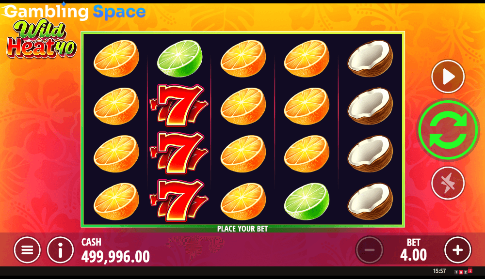Wild Heat 40 – Screenshot 3