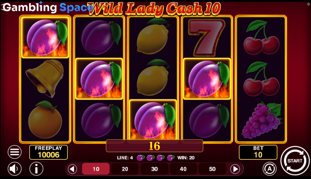 Wild Lady Cash 10 – Screenshot 3