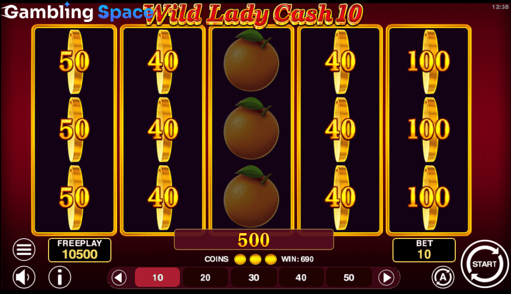Wild Lady Cash 10 – Screenshot 5