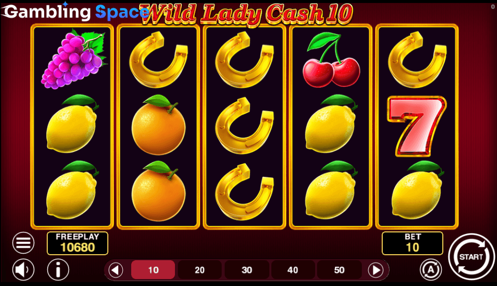 Wild Lady Cash 10 – Screenshot 6