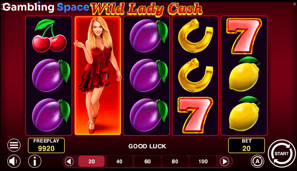 Wild Lady Cash – Screenshot 6