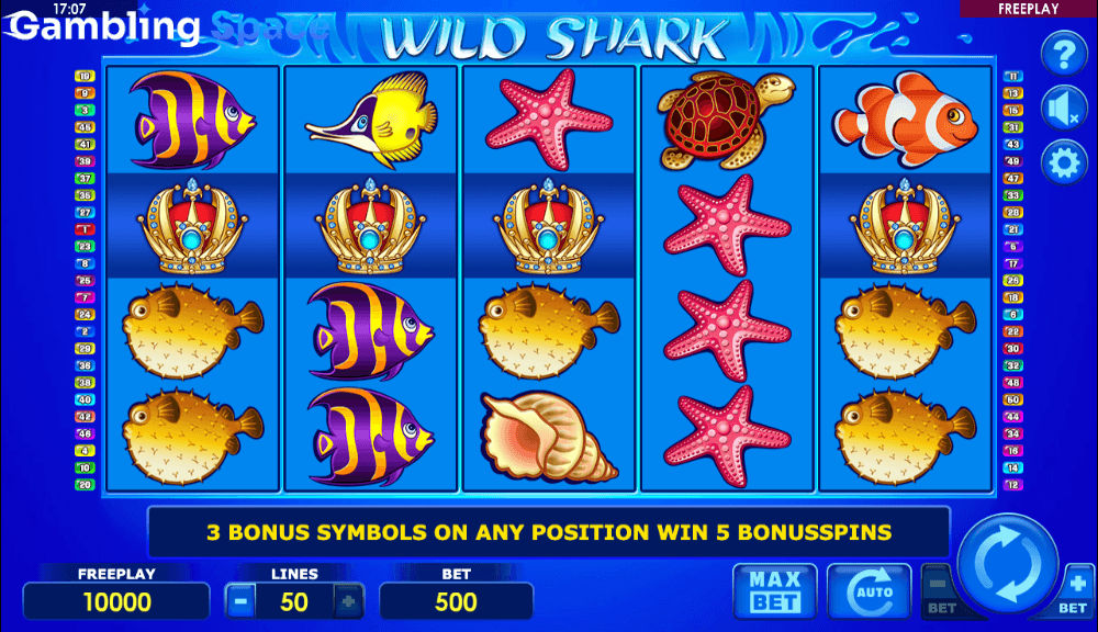 Wild Shark – Screenshot 2