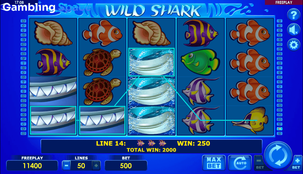 Wild Shark – Screenshot 6