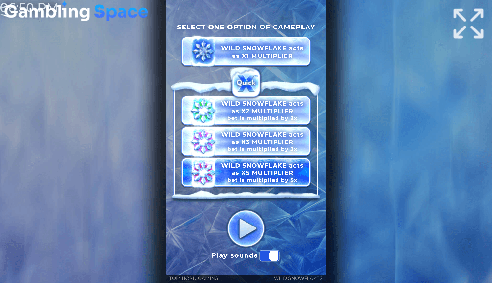 Wild Snowflakes – Screenshot 1
