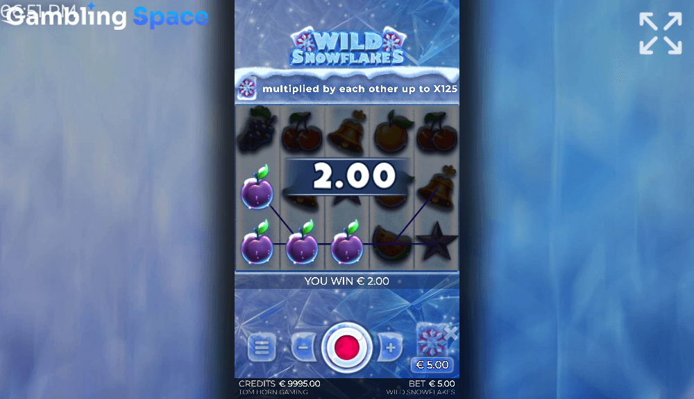 Wild Snowflakes – Screenshot 3
