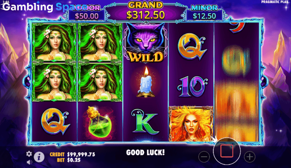 Wild Spells – Screenshot 3