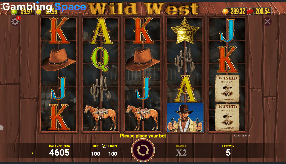 Wild West – Screenshot 5