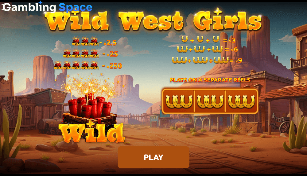 Wild West Girls – Screenshot 1