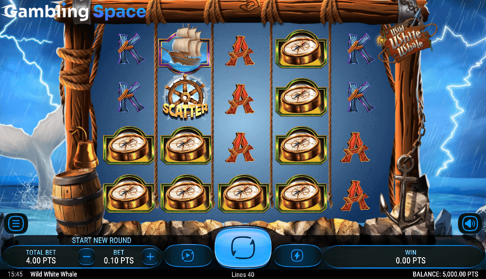 Wild White Whale – Screenshot 1