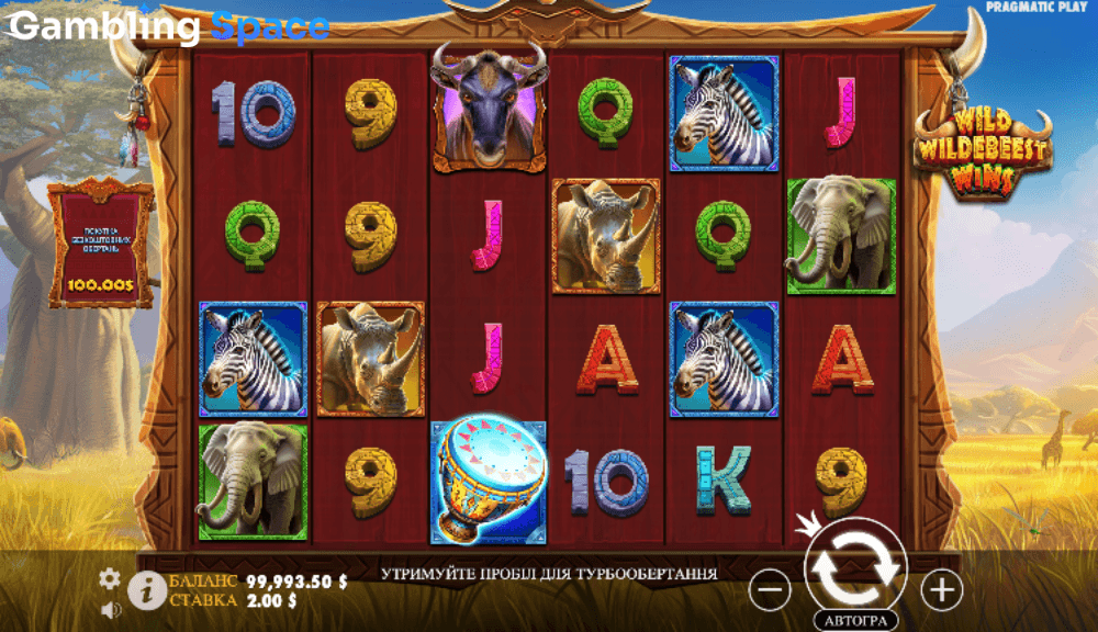 Wild Wildebeest Wins – Screenshot 6