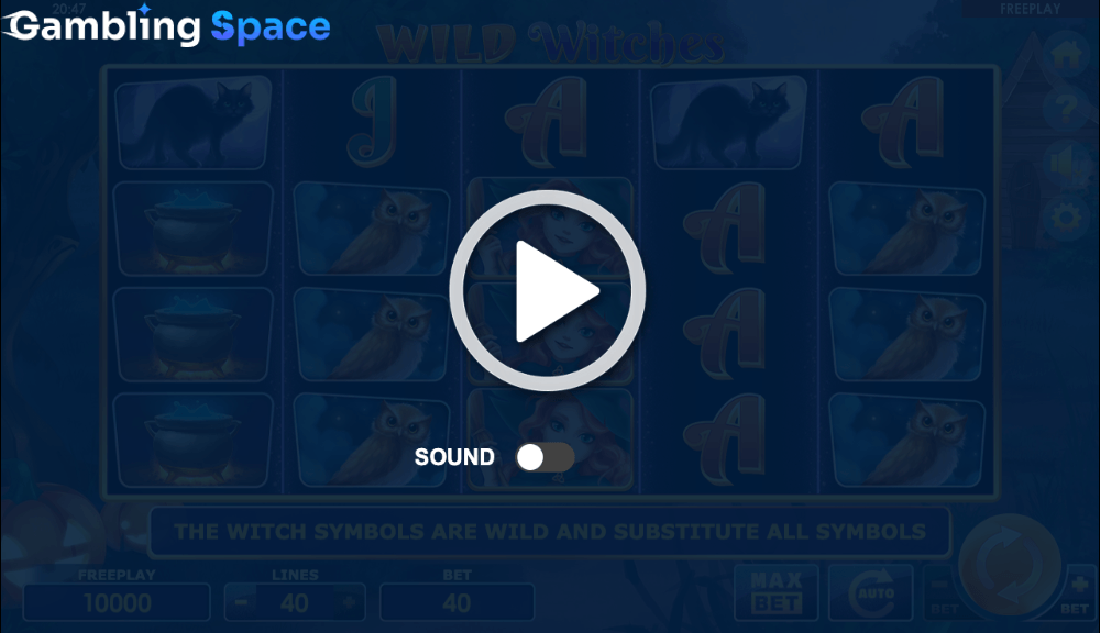 Wild Witches – Screenshot 1