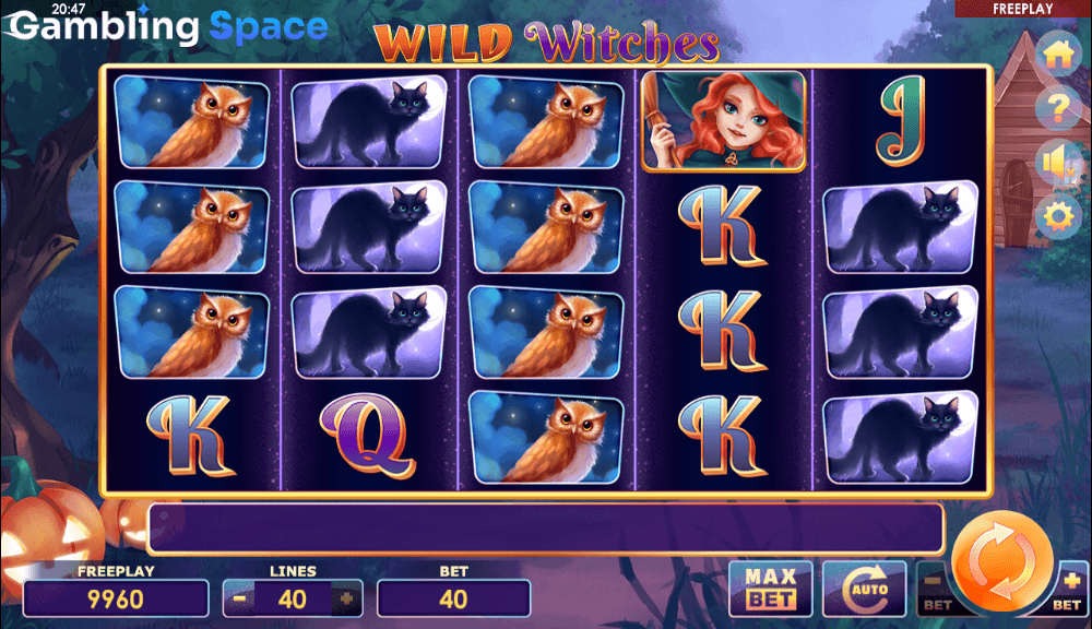 Wild Witches – Screenshot 3