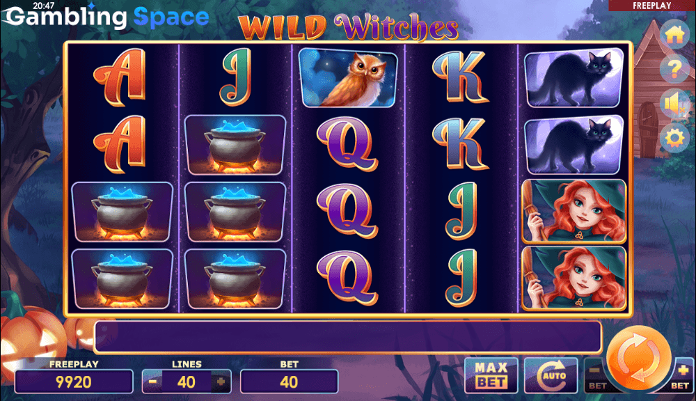 Wild Witches – Screenshot 4