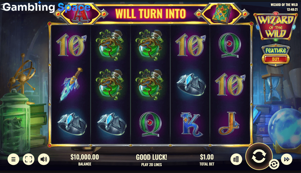 Wizard of the Wild – Screenshot 2