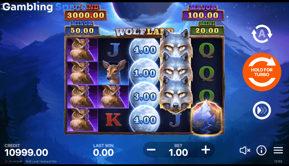 Wolf Land: Hold and Win – Screenshot 4