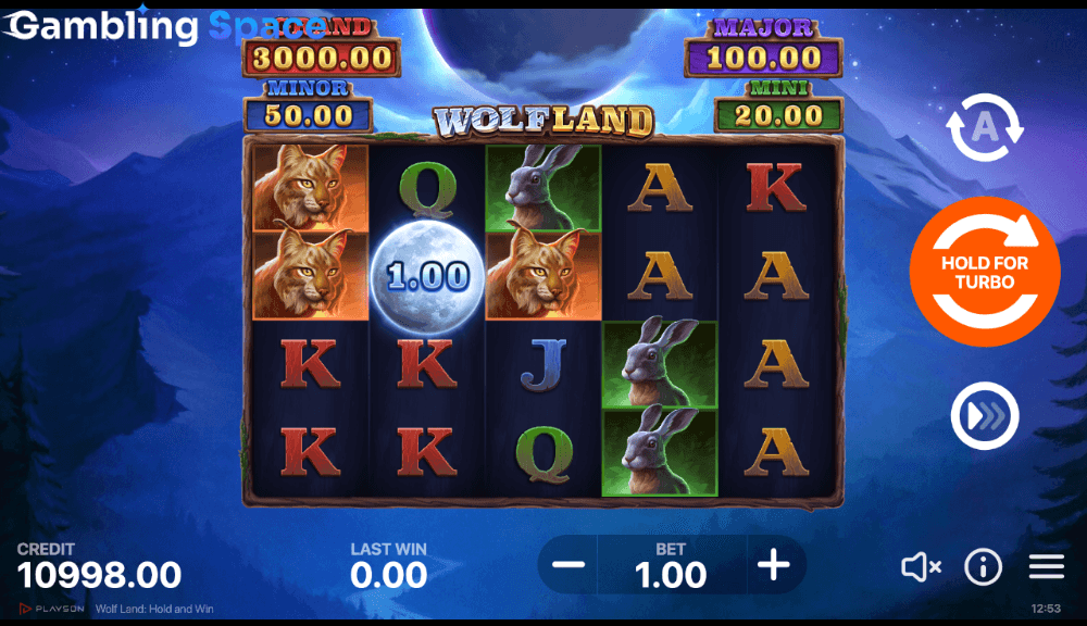 Wolf Land: Hold and Win – Screenshot 5